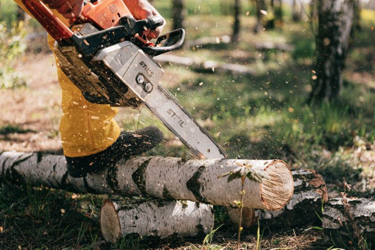 The Best Small Chainsaws for Homeowners and DIYers