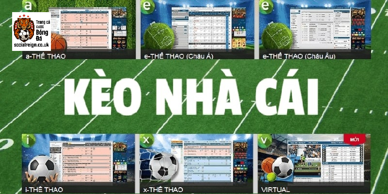 Kèo nhà cái là gì? Hướng dẫn đọc và soi kèo chuẩn như chuyên gia