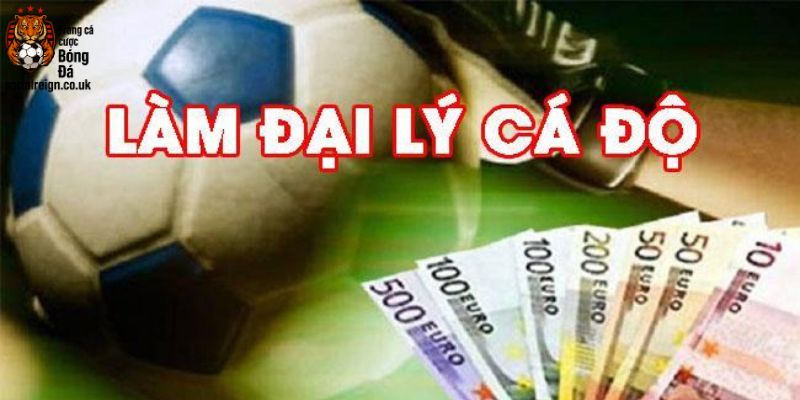 Đại lý thầu bóng đá là gì? Cách hoạt động và các rủi ro tiềm ẩn