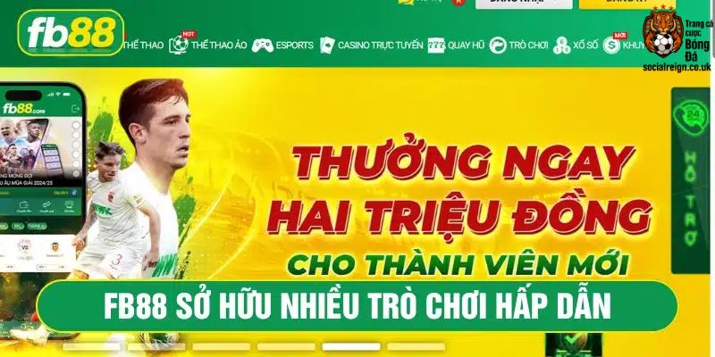 FB88 - Trang Cá Cược Bóng Đá Uy Tín Với Tỷ Lệ Cược Cực Hấp Dẫn