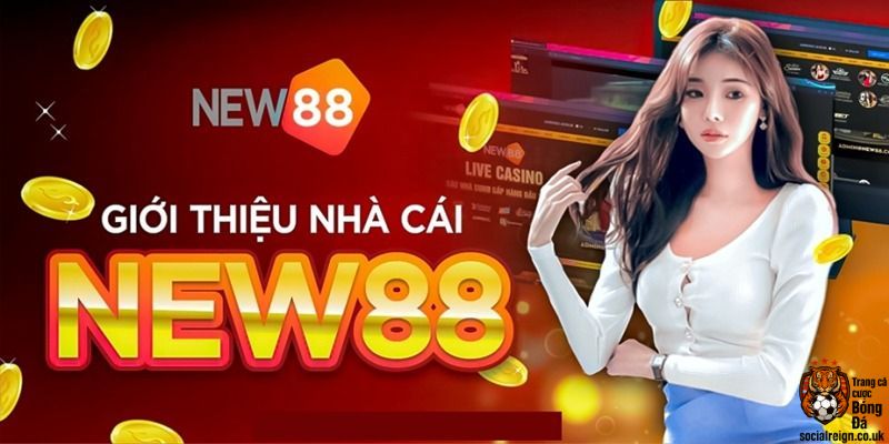 Tại Sao Cá Cược Bóng Đá Tại New88 Lại Hấp Dẫn Đến Vậy?