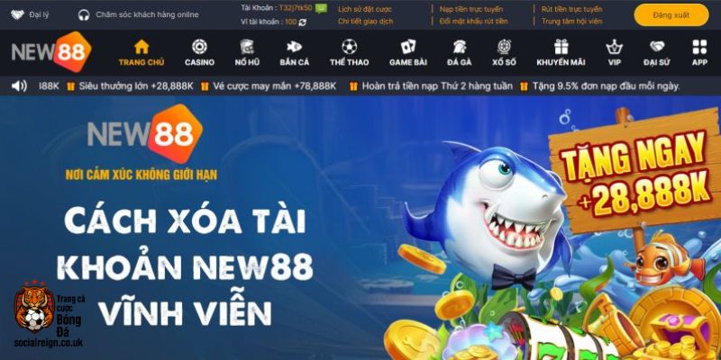 New88 - Tân binh nổi bật trong làng cá cược bóng đá