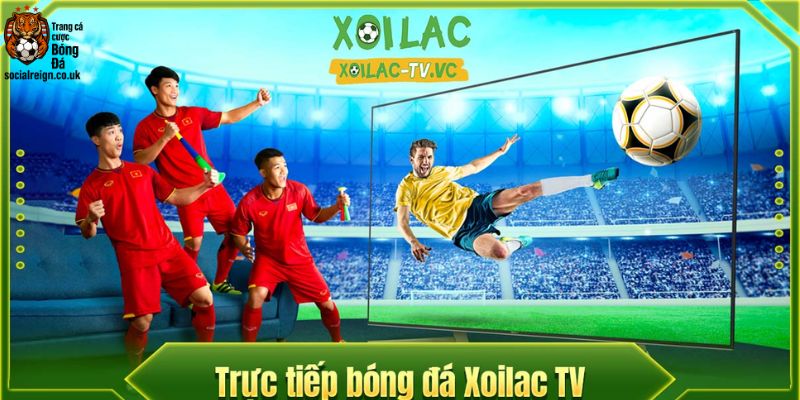 Trang Xem Bóng Đá Uy Tín Hỗ Trợ Cá Cược Thành Công Năm 2025