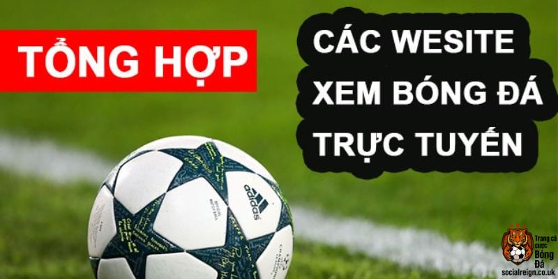 Tại Sao Trang Xem Bóng Đá Quan Trọng Với Người Chơi Cá Cược